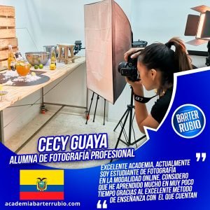 Curso de SEO y Posicionamiento Web, Optimización de motores de búsqueda,