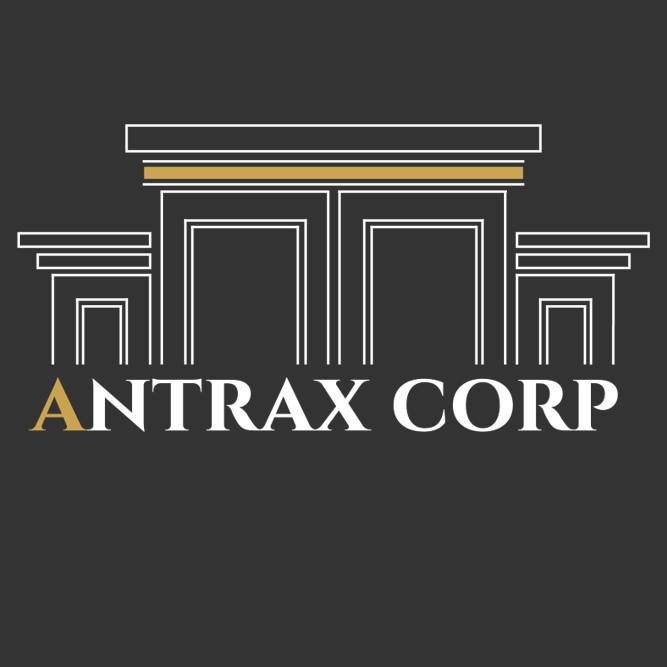 Antrax stone & cabinets